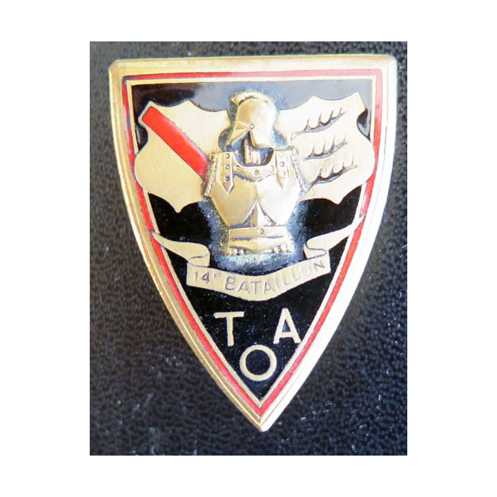 14° BG : 14° Bataillon du génie des Troupes d'occupation en Allemagne TOA Drago Béranger H. 530 en émail
