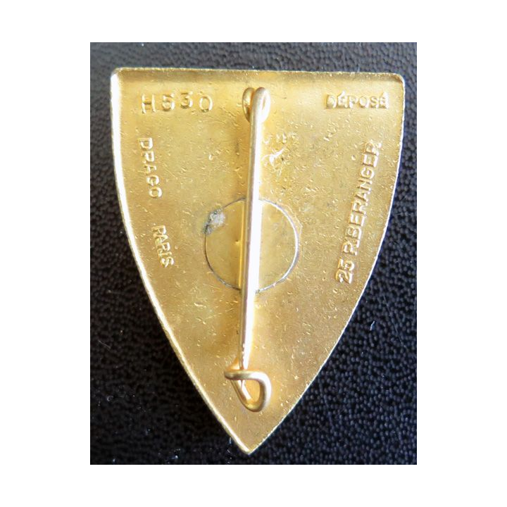 14° BG : 14° Bataillon du génie des Troupes d'occupation en Allemagne TOA Drago Béranger H. 530 en émail