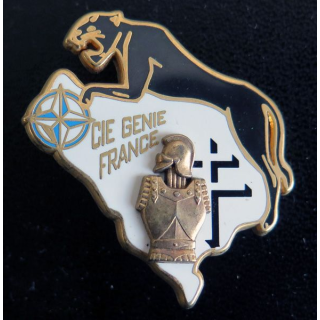 34° RG : compagnie génie france de la DMNSE du 34° régiment du génie Arthus Bertrand Paris  N° 074