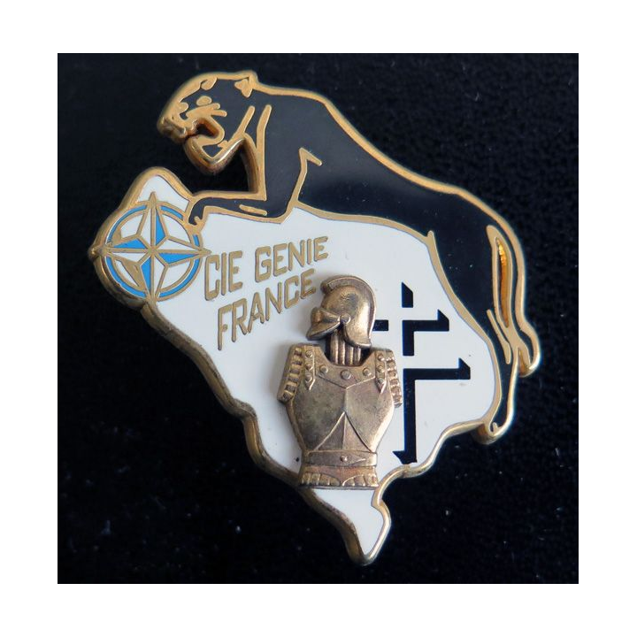 34° RG : compagnie génie france de la DMNSE du 34° régiment du génie Arthus Bertrand Paris  N° 074