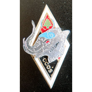1° RG : CCOS du 1° régiment du génie au Liban 420° DIM n° 07 de fabrication locale