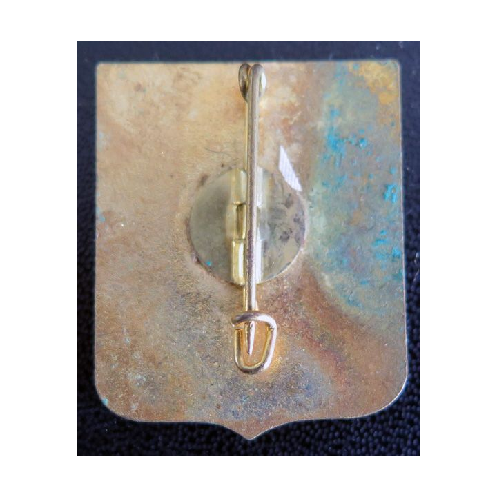 Insigne des transmetteurs isolés de hauteur 36  mm en émail 