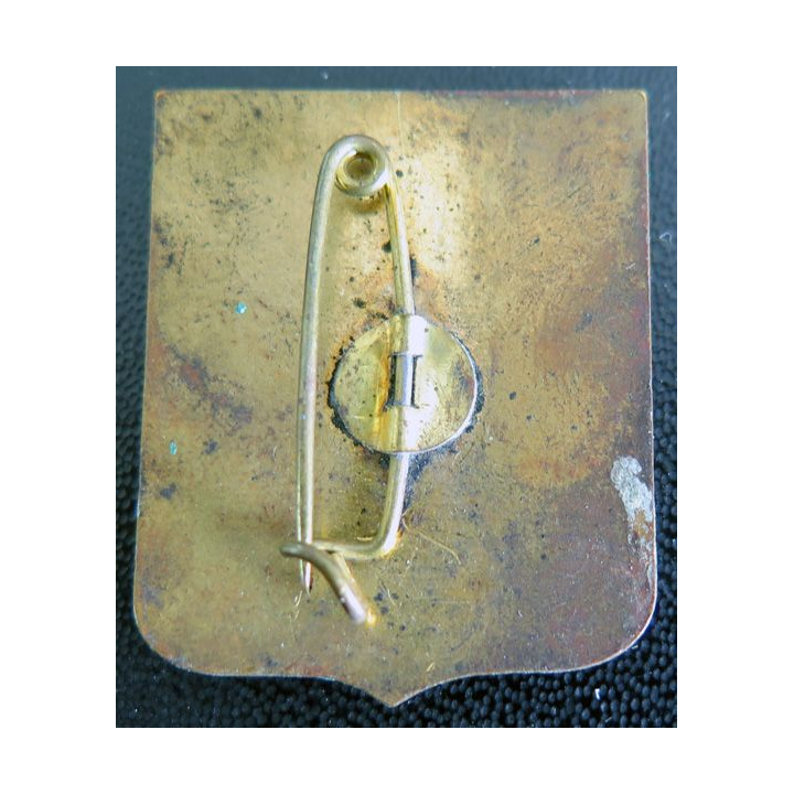 Insigne des transmetteurs isolés de hauteur 36  mm en émail