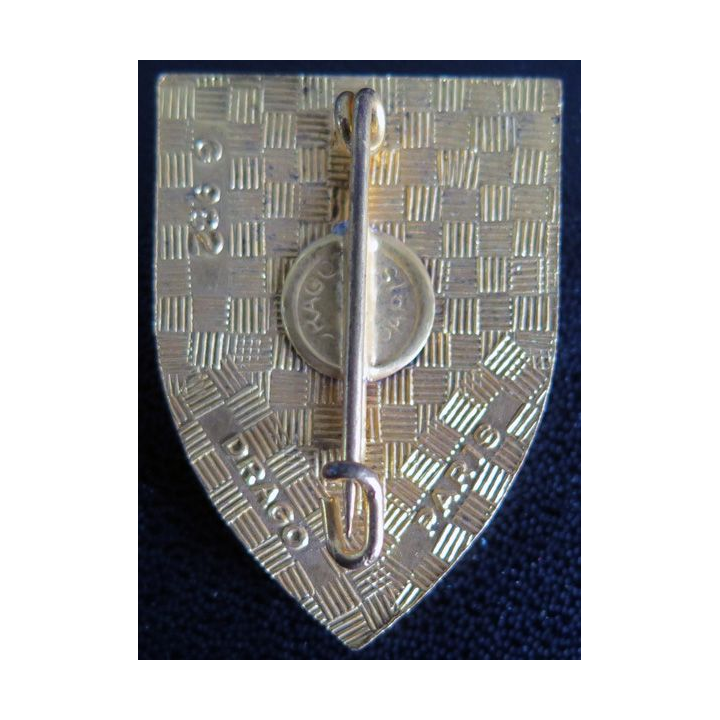 GRET 806 : Insigne du 806° groupe régional exploitation des Transmissions  Drago Paris G. 982 en émail