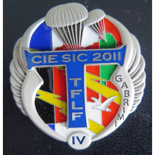 CIE SIC TRANSMISSIONS : TFLF 2011 GABRIMI IV° Mandat JY Ségalen 2011