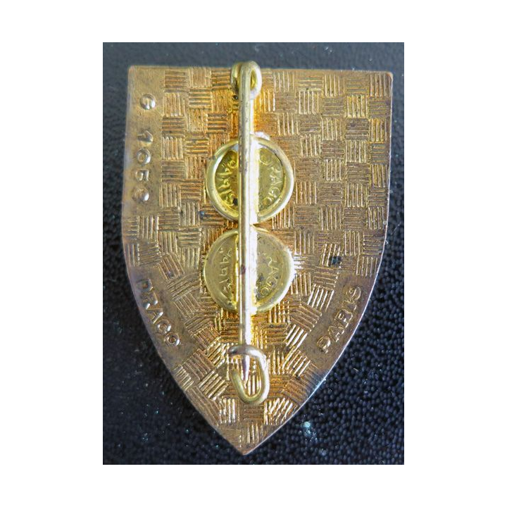 TRANS 5° RM : insigne des transmissions de la 5° région militaire Drago G. 1053 en émail