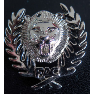 Insigne inconnu sécurité militaire ? ou insigne africain ? avec les lettres FAC
