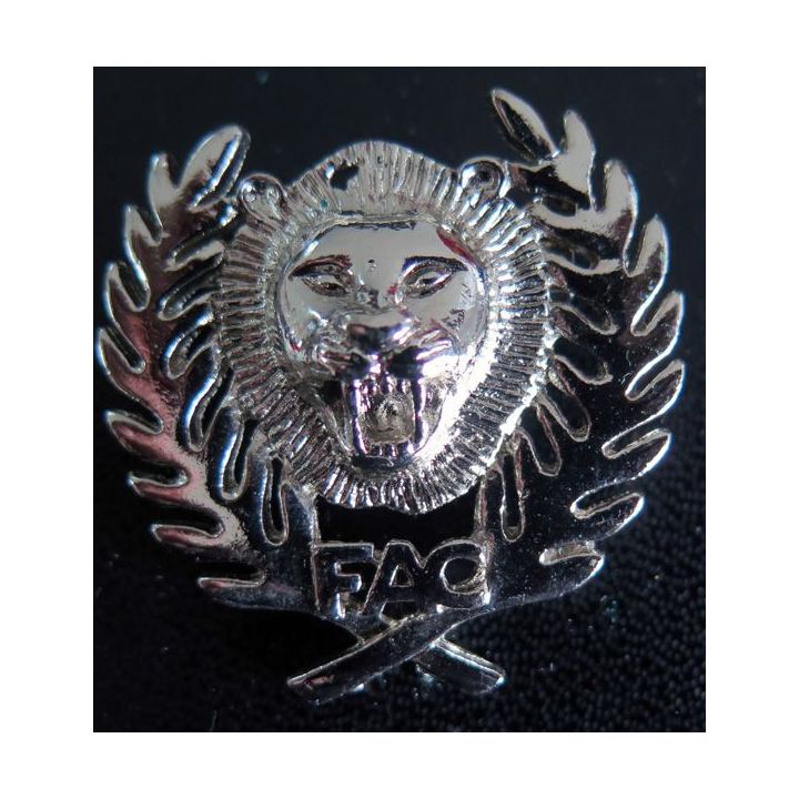 Insigne inconnu sécurité militaire ? ou insigne africain ? avec les lettres FAC