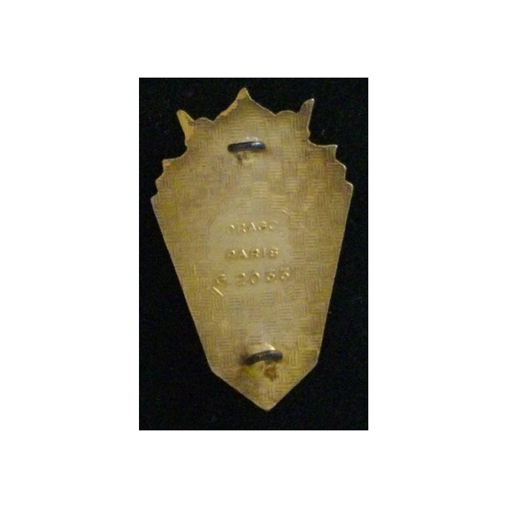 144° RI : 144° RÉGIMENT D'INFANTERIE (ÉMAIL)