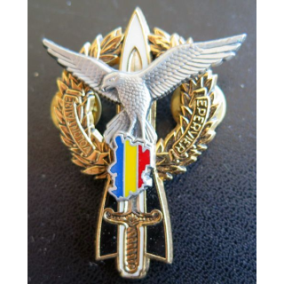 402° 403° RAA : Insigne métallique des Volontaire EPERVIER au TCHAD 402° et 403° RAA Balme G. 4299