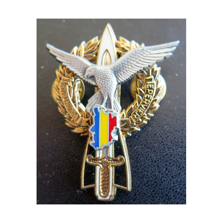 402° 403° RAA : Insigne métallique des Volontaire EPERVIER au TCHAD 402° et 403° RAA Balme G. 4299
