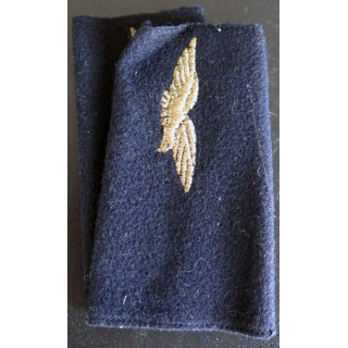 Paire de fourreau d'épaule de soldat de l'armée de l'air (aigle doré)