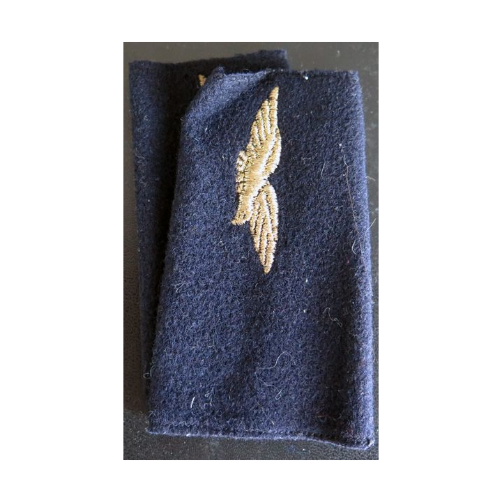 Paire de fourreau d'épaule de soldat de l'armée de l'air (aigle doré)