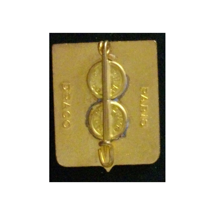 294° RI : 294° RÉGIMENT D'INFANTERIE (DRAGO) ÉMAIL