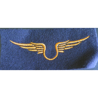 Insigne tissu de l'armée de l'air troupe 12 x 5 cm
