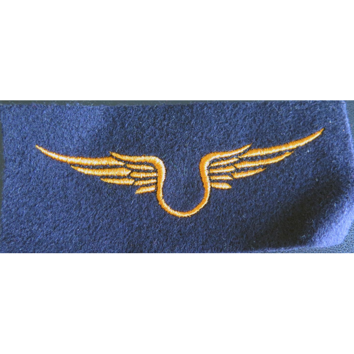 Insigne tissu de l'armée de l'air troupe 12 x 5 cm