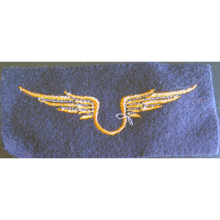 Insigne tissu de l'armée de l'air troupe 12 x 5 cm