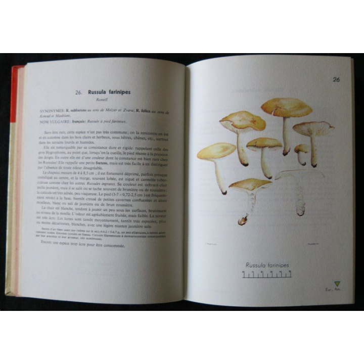 Petit atlas des champignons Tome 1 de H. Roumagnesi aux Editions Bordas