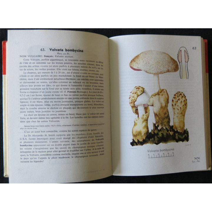 Petit atlas des champignons Tome 1 de H. Roumagnesi aux Editions Bordas