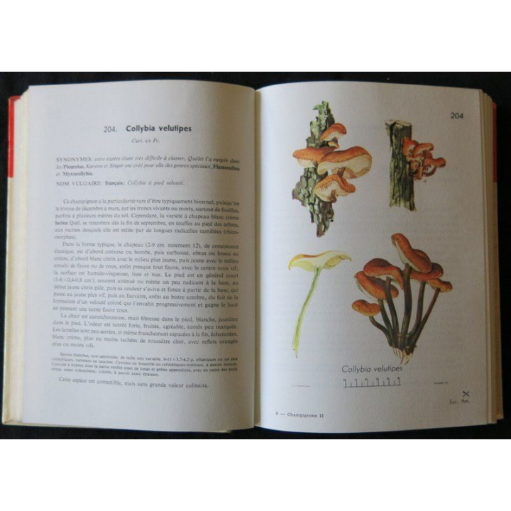 Petit atlas des champignons Tome 2 de H. Roumagnesi aux Editions Bordas