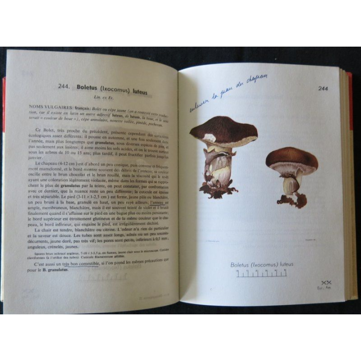 Petit atlas des champignons Tome 2 de H. Roumagnesi aux Editions Bordas