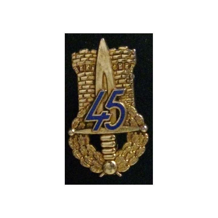 45°RI : 45°RÉGIMENT D'INFANTERIE (DRAGO)