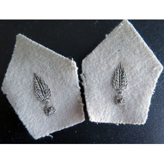 SOUTACHE : paire d'insigne de col du service de l'intendance en cannetille