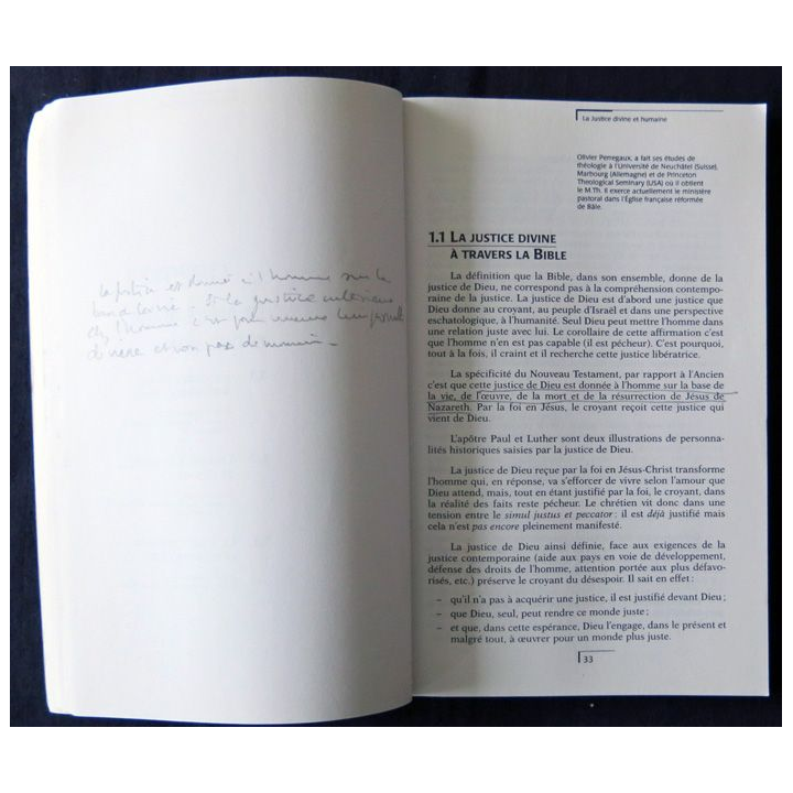 Justice divine Justice humaine de André Lemieux aux Editions Nouvelles