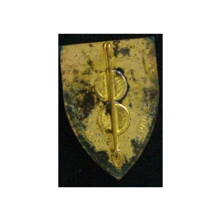 6° RI : 6° RÉGIMENT D'INFANTERIE (D 1267) ÉMAIL