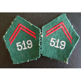 SOUTACHE : paire d'insigne de col du 519° Régiment du train (laminettes)