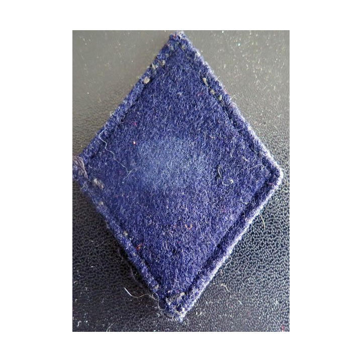 LOSANGE DE BRAS MODÈLE 45 :  110° Régiment d'infanterie troupe