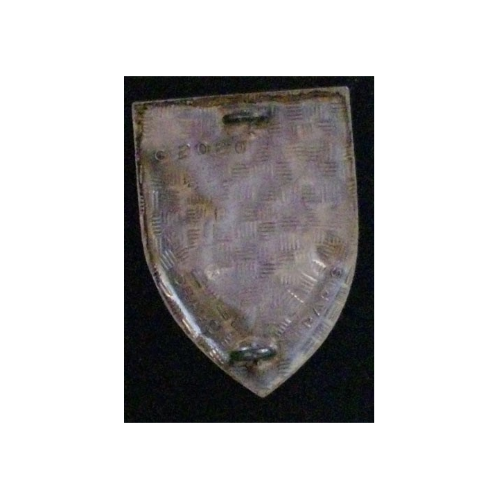 79° RI : 79° RÉGIMENT D'INFANTERIE (D 2020) ÉMAIL