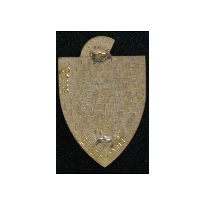 9° RG : 9° RÉGIMENT DU GÉNIE (DRAGO 1909)