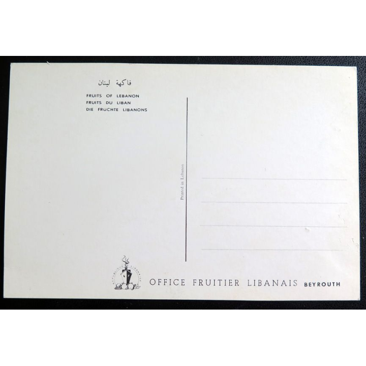 Carte Postale Fruits du Liban
