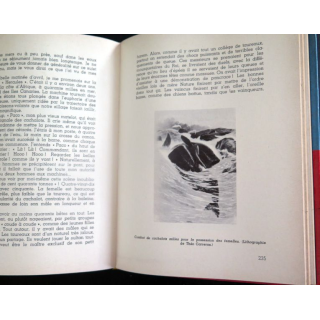 A la recherche du cachalot de Mario Ruspoli dédicacé par l'auteur 1955
