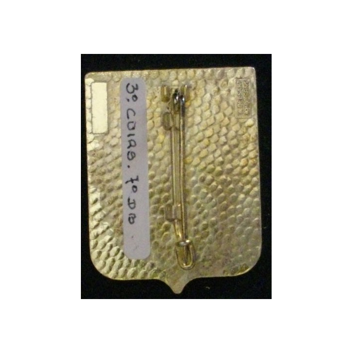 Compagnie guyane du 3° régiment de cuirs de la 7° division blindée