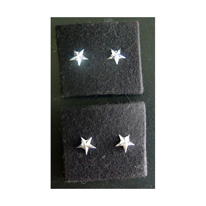 Paire de fourreaux d'épaule de général de brigade