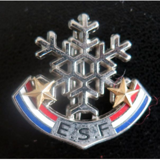 ESF : brevet de l'école du ski français 2 étoiles