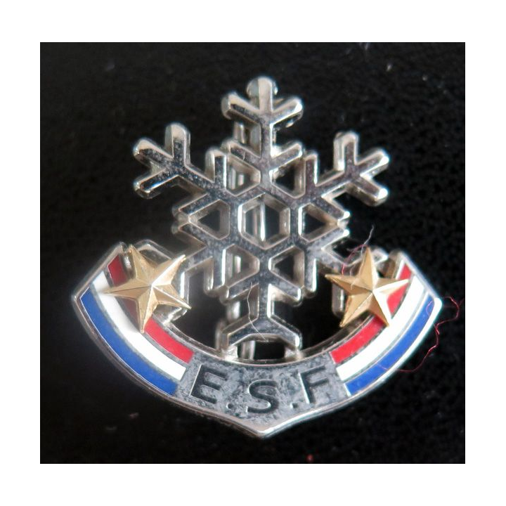 ESF : brevet de l'école du ski français 2 étoiles