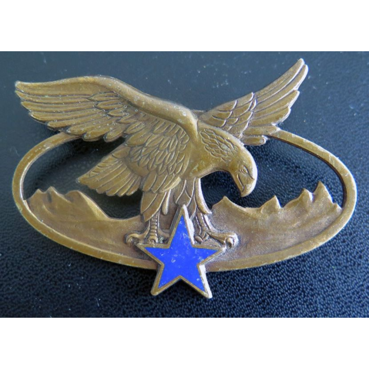 BQTM : Brevet de qualification des troupes de montagne de fabrication Drago Paris G. 2465 en émail