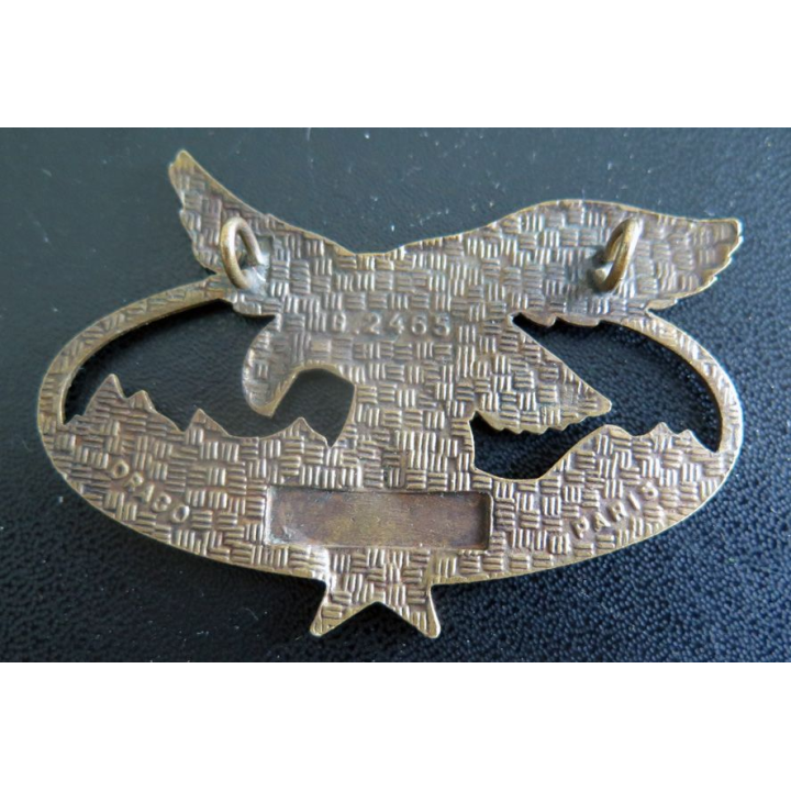 BQTM : Brevet de qualification des troupes de montagne de fabrication Drago Paris G. 2465 en émail
