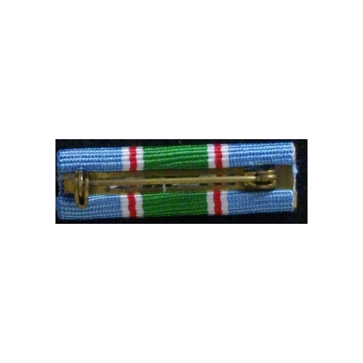 UN : RAPPEL DE LA MÉDAILLE DE LA FINUL (LIBAN)