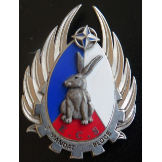 10° RCS BFS ECS : escadron de commandement et de soutien du bataillon français de soutien de l'IFOR PLOCE 3° mandat Boussemart