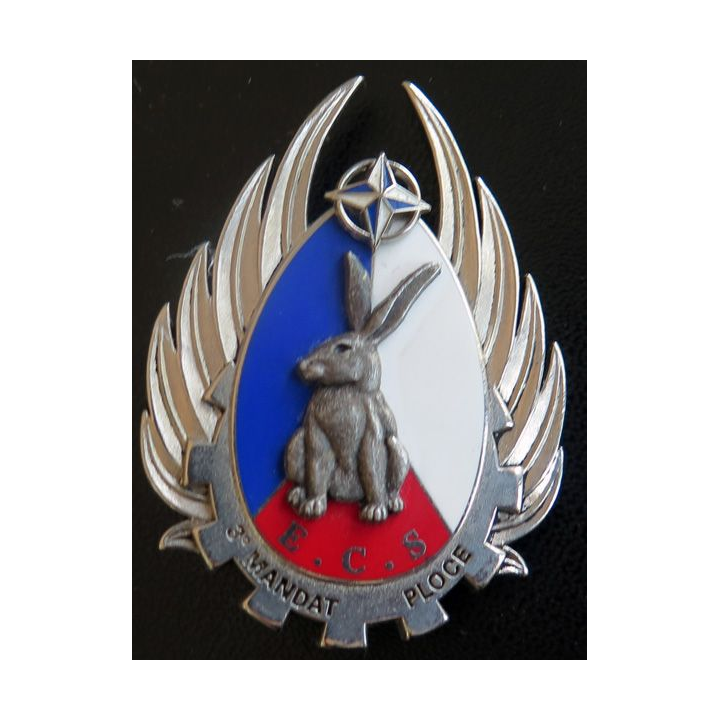 10° RCS BFS ECS : escadron de commandement et de soutien du bataillon français de soutien de l'IFOR PLOCE 3° mandat Boussemart
