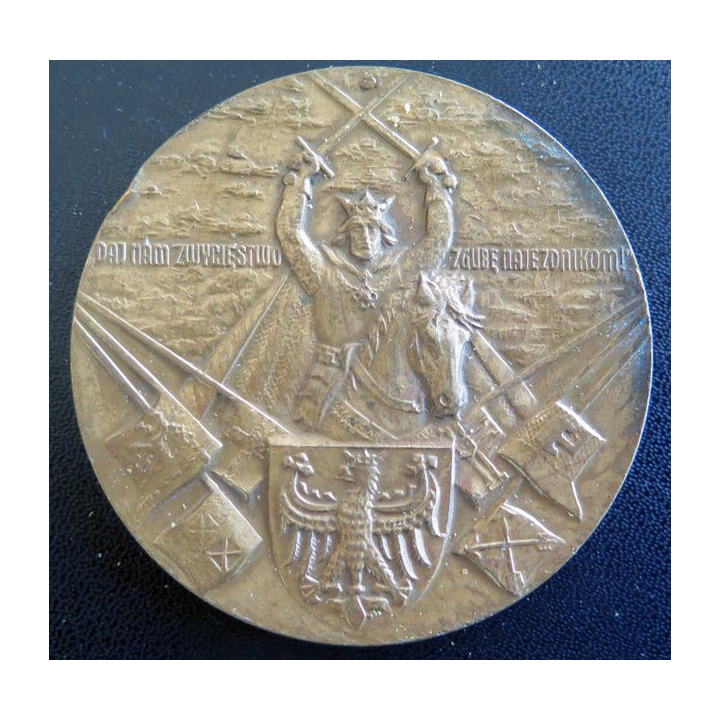 Médaille de la Police polonaise Grunwald 15 VII 1410 en bronze diamètre 7 cm 