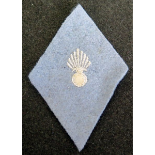 LOSANGE DE BRAS MODÈLE 45 : intendance cadre sous officier instruction 