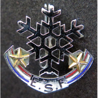 ESF : brevet de l'école du ski français 2 étoiles
