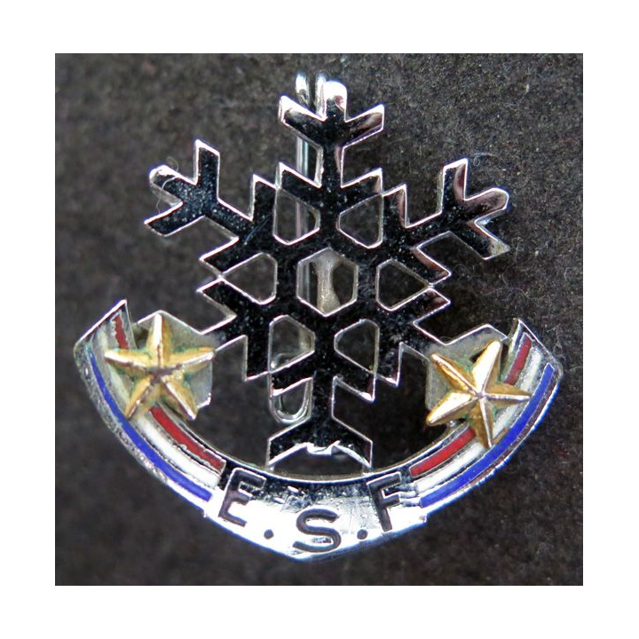 ESF : brevet de l'école du ski français 2 étoiles