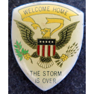 Pin's Welcome Home The Storm is over