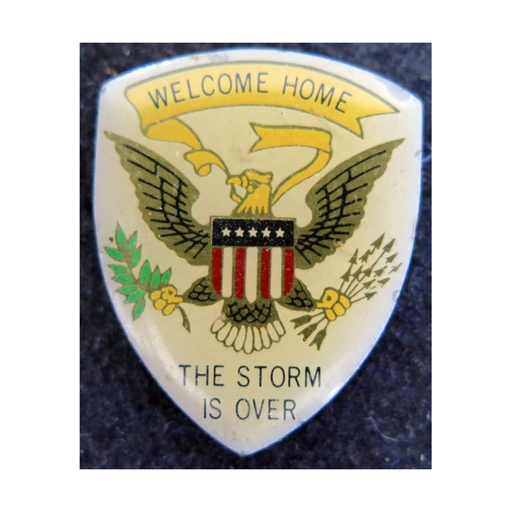 Pin's Welcome Home The Storm is over